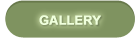 dog-groomers-gallery