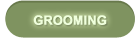 dog-grooming-lisburn